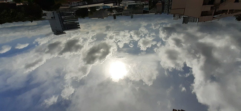 Photo #4092309