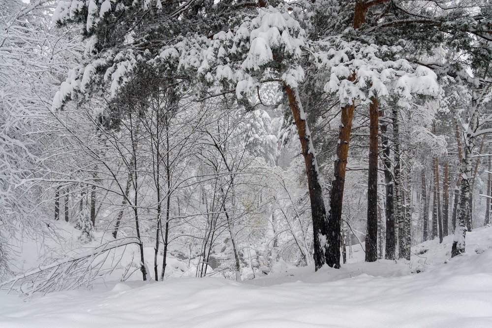 Photograph by Джазатор