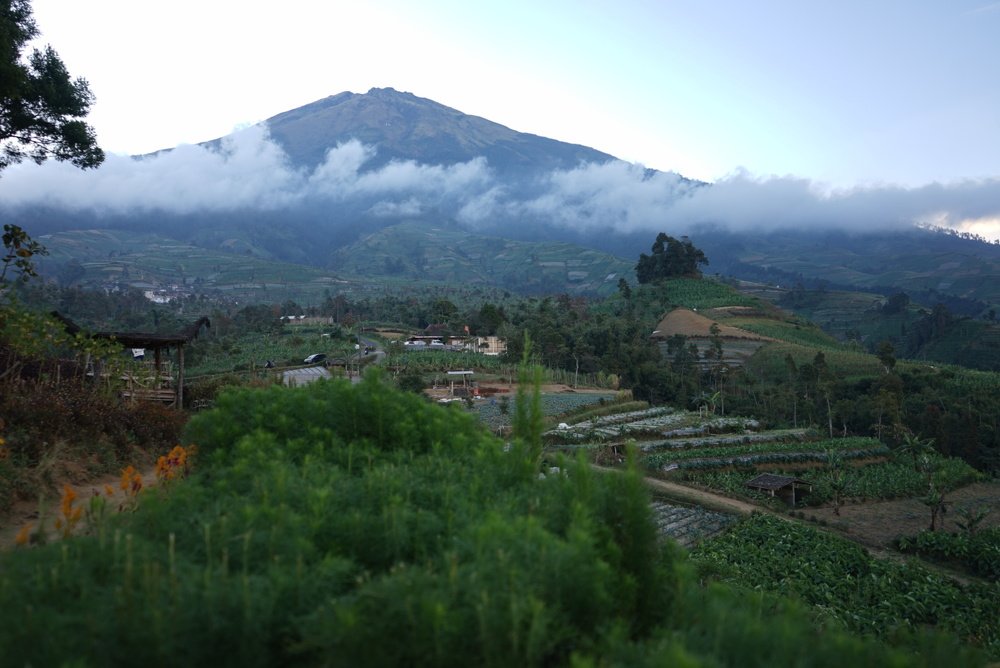 Photograph by ahmad sulhan