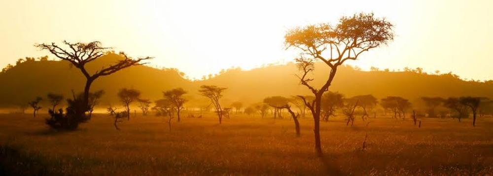 Photograph by Waji Khan