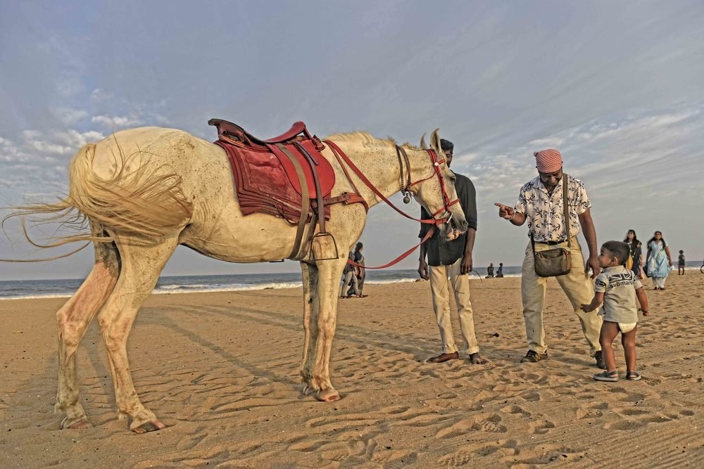 Photograph by SOUMYA CHANDRA