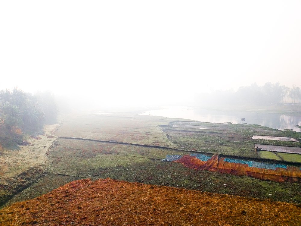 Photo #4092715