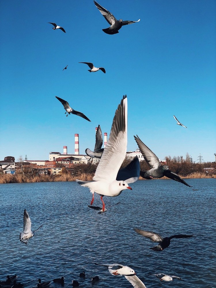 Photograph by Mikhail Urmashev
