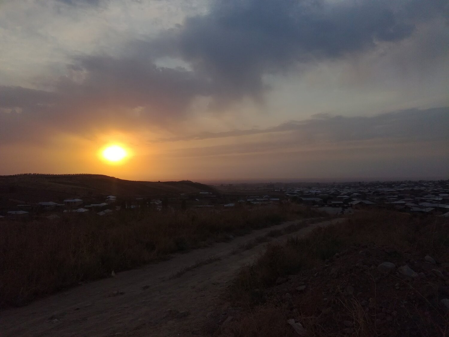 Photo #4092756