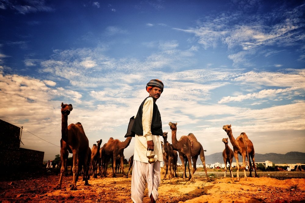 Camel Driver Leadership