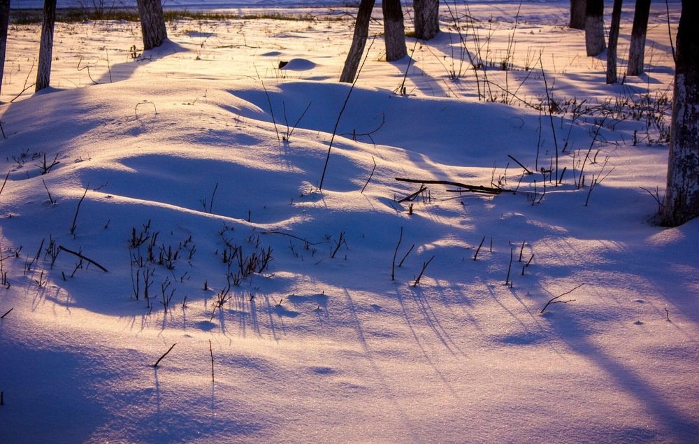 Photograph by Оксана Тонкошкурая