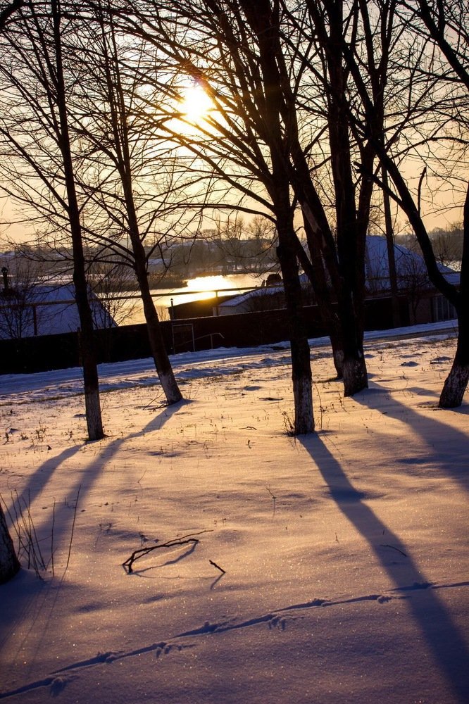 Photograph by Оксана Тонкошкурая