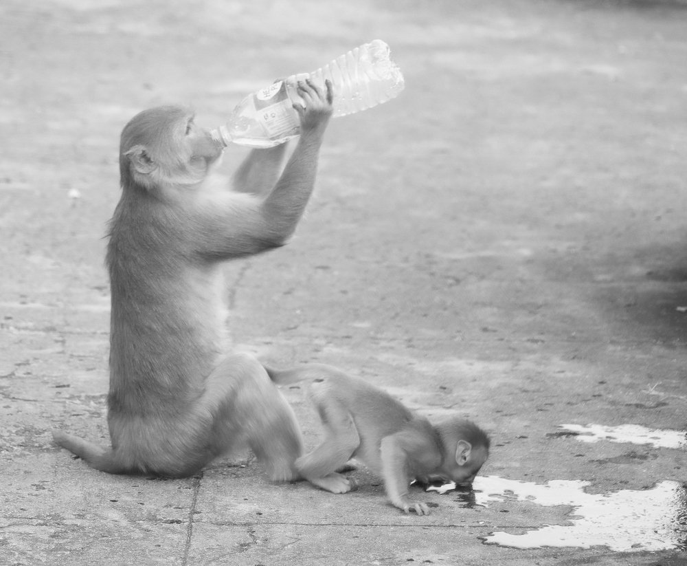 mother and child drinking water