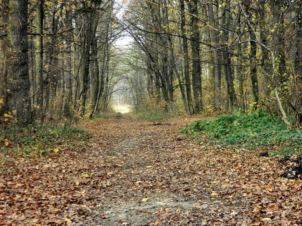 Photograph by Сергей Рапопорт