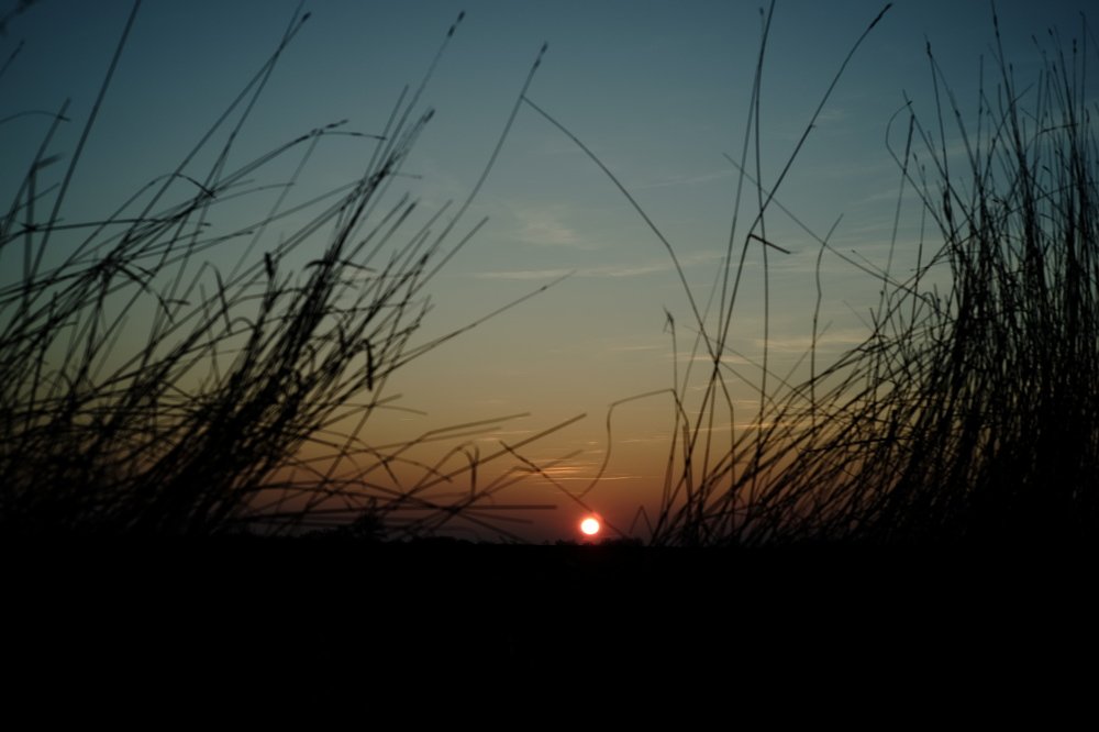 Wonderland sunset