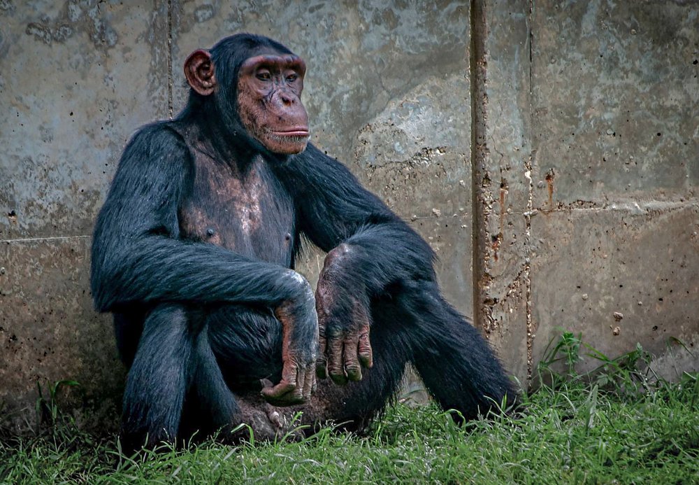 Photograph by Владислав Айзенберг