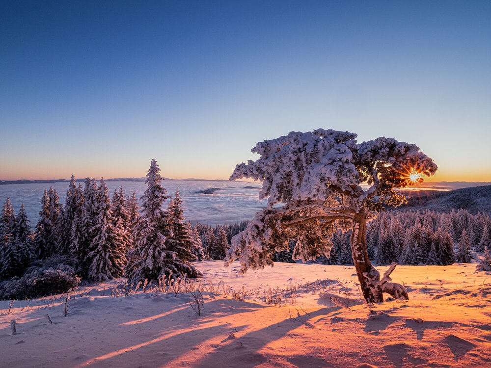 Photograph by Светлана Михалкова