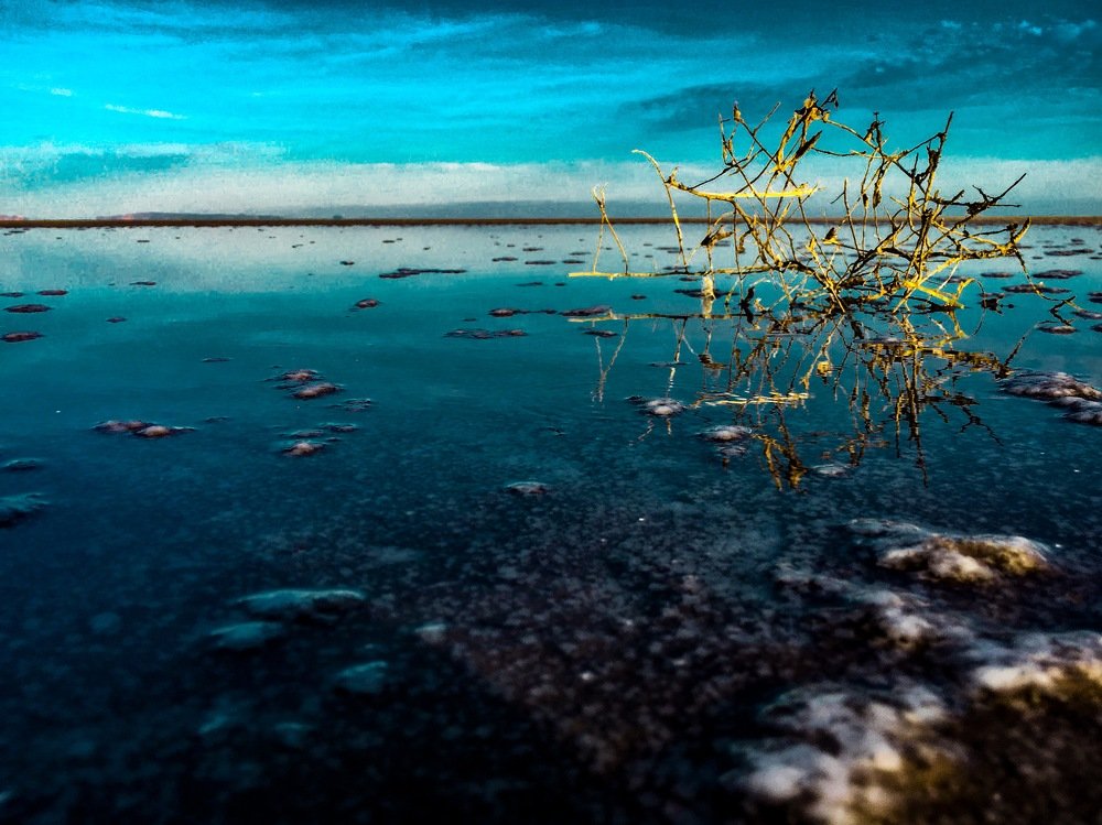 Photograph by Subash Vookoti