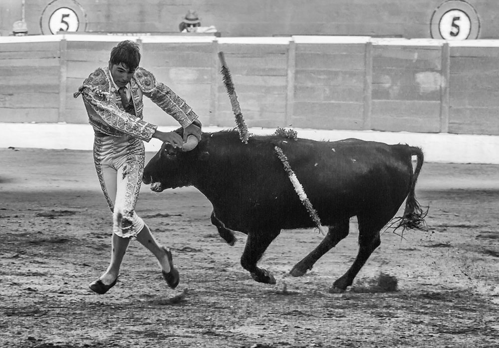 Photograph by Юрий Шуфчук