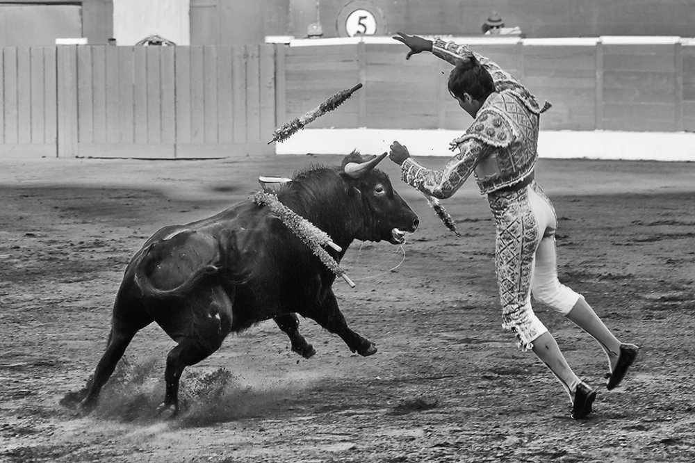 Photograph by Юрий Шуфчук