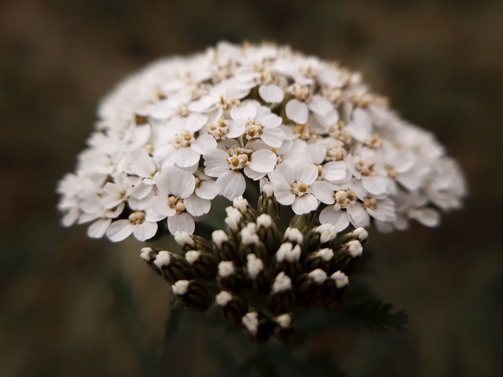 Photograph by Дарья Богославская