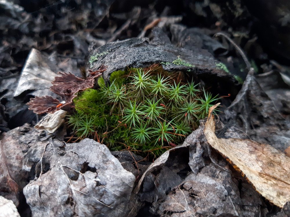 Photograph by Дарья Богославская