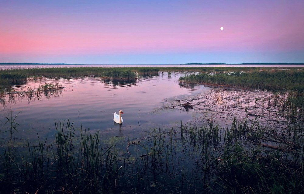 Нечаянная встреча