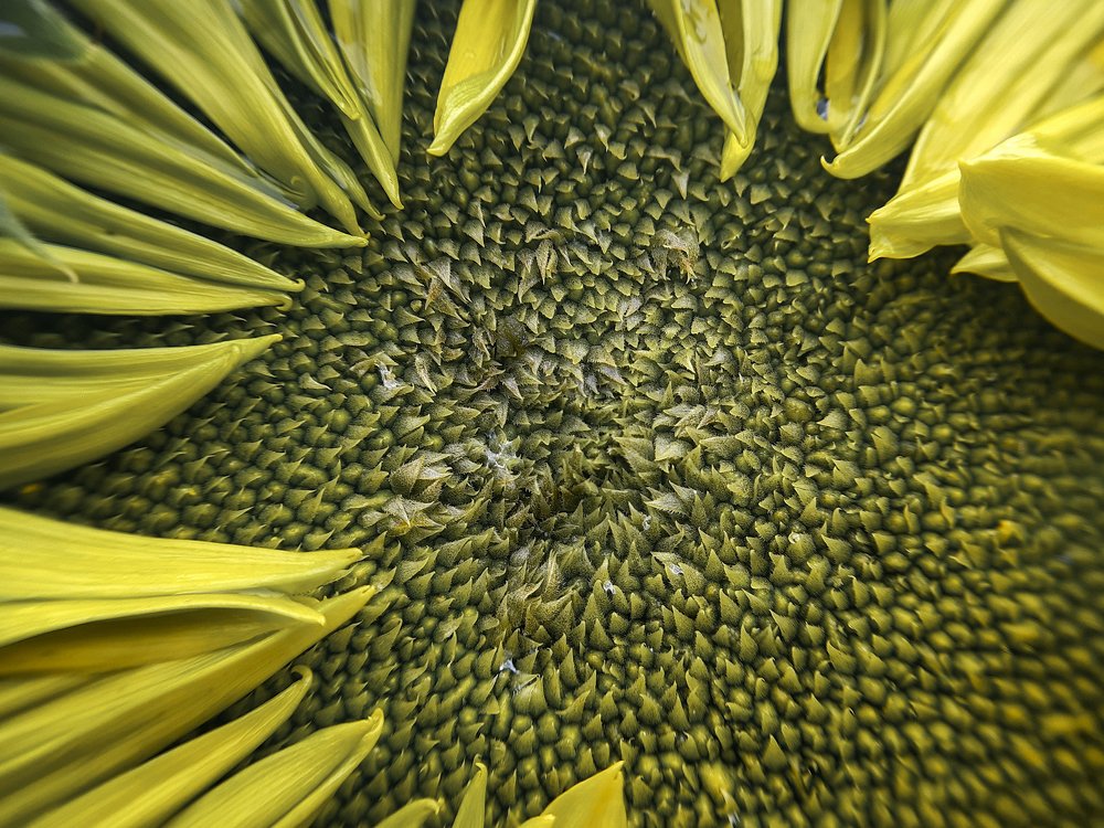 Photograph by Дарья Богославская