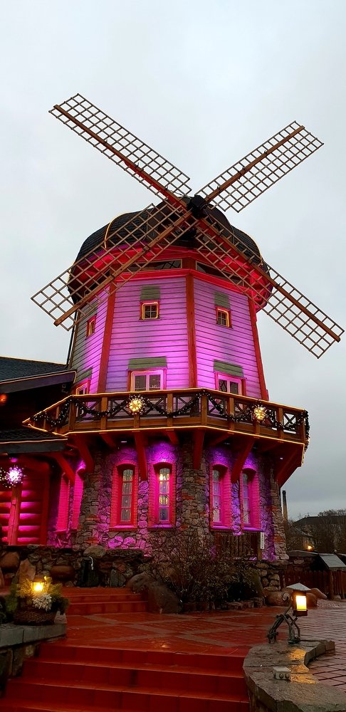 Photograph by Svetlana Toropoviene