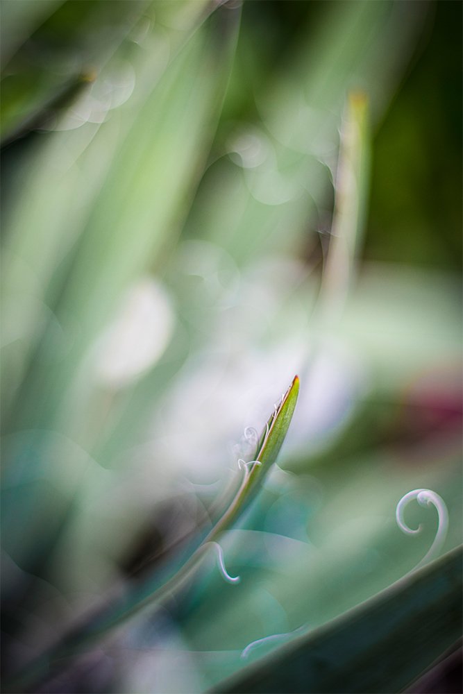 Photograph by Mirela B.