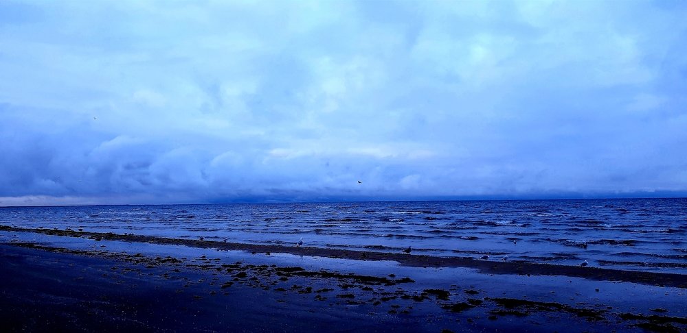 Photograph by Svetlana Toropoviene