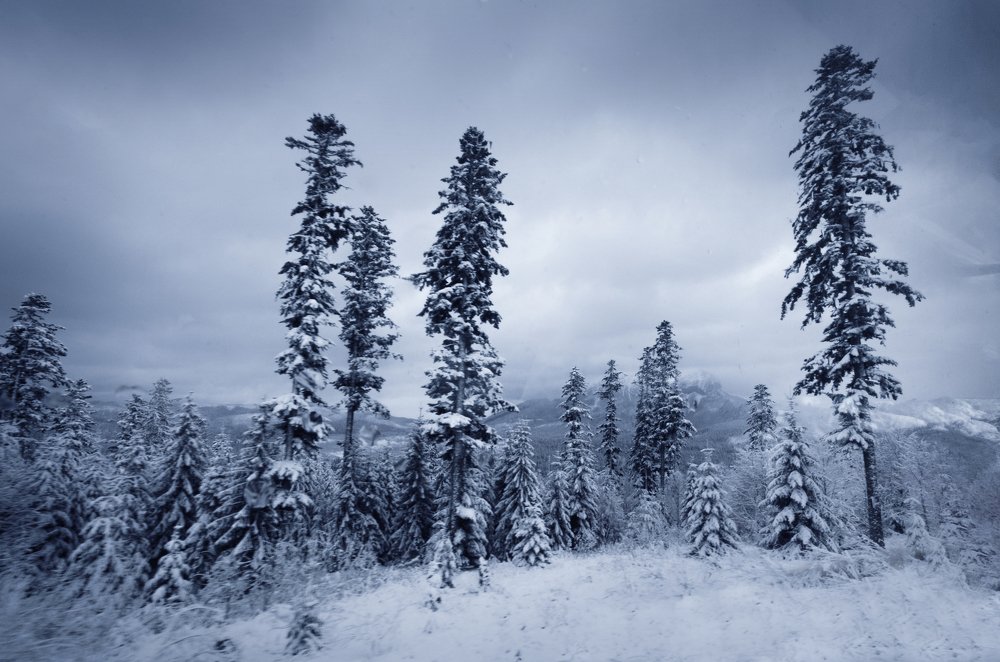 Зимний вечер в Татрах