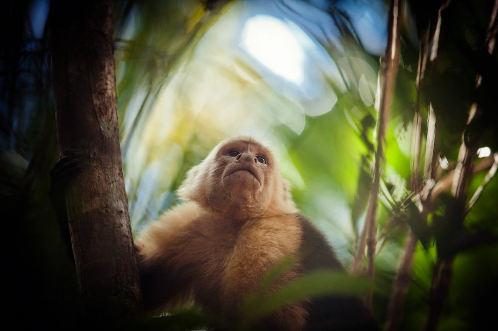 Photograph by Станислав Дроздов