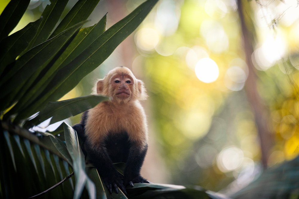 Photograph by Станислав Дроздов