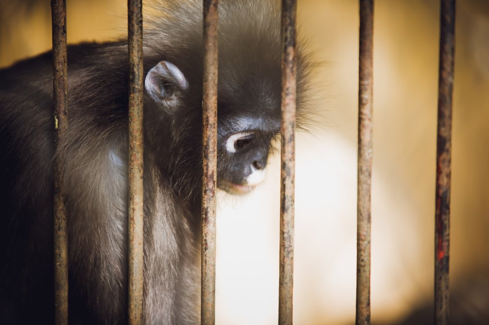 Photograph by Станислав Дроздов