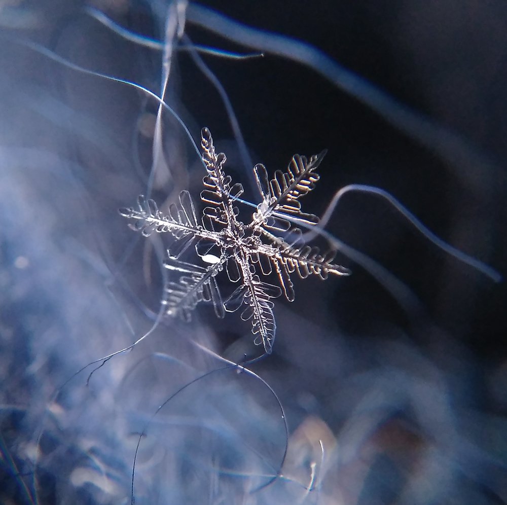 Фотография автора Наталья