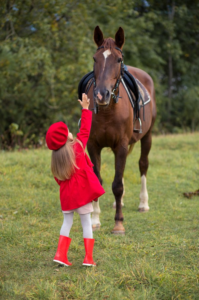 Фотография автора Ирина Белоусова