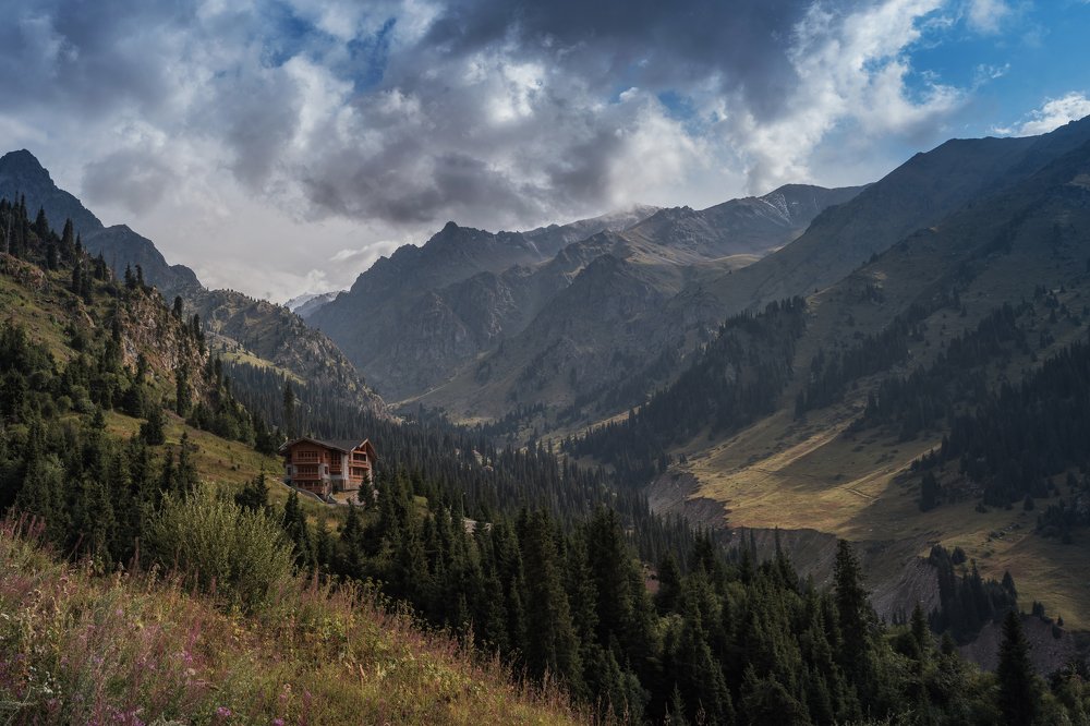 Photograph by Сергей Степаненко