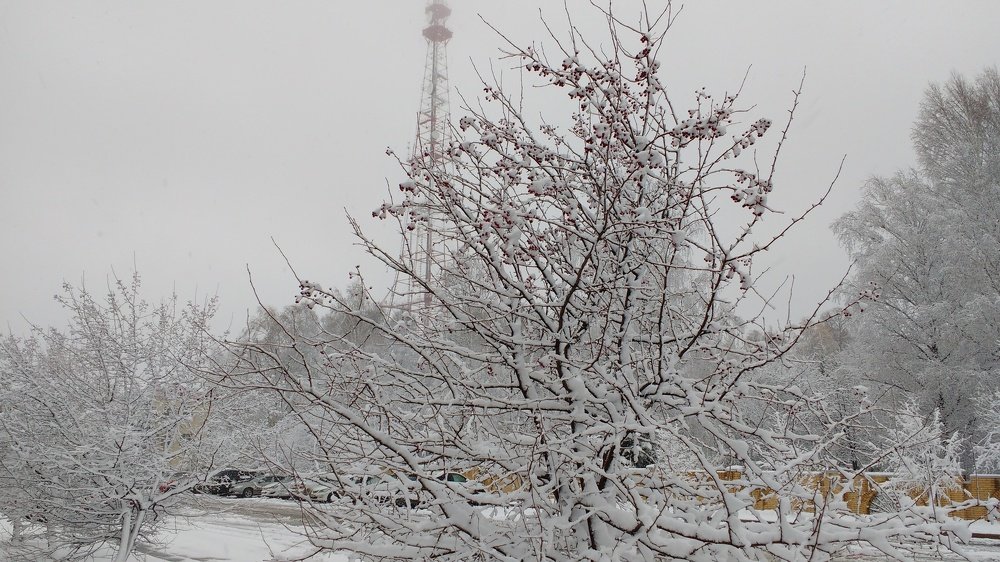 Photo #4093831