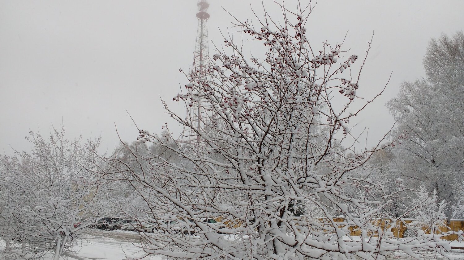 Photo #4093831