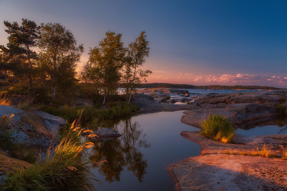 Фотография автора Алексей Новиков