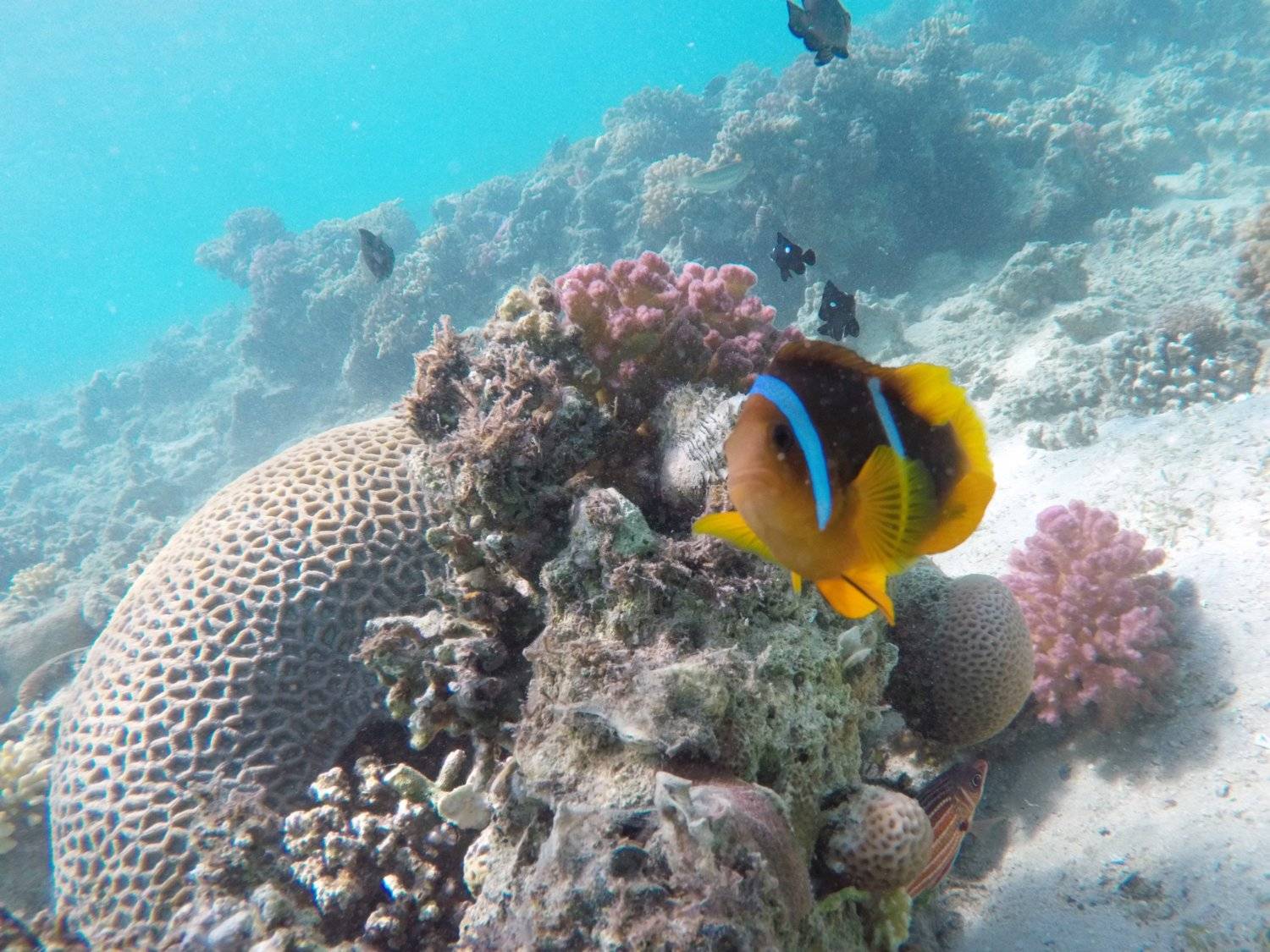 Фотография #4094191