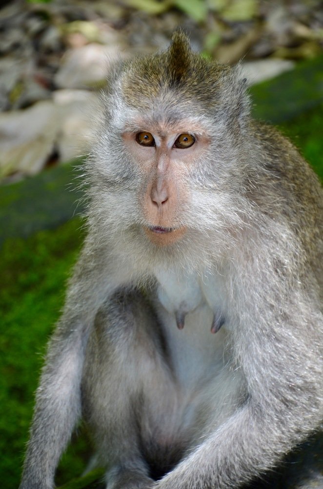 Photograph by Yng-Jaw Jiing