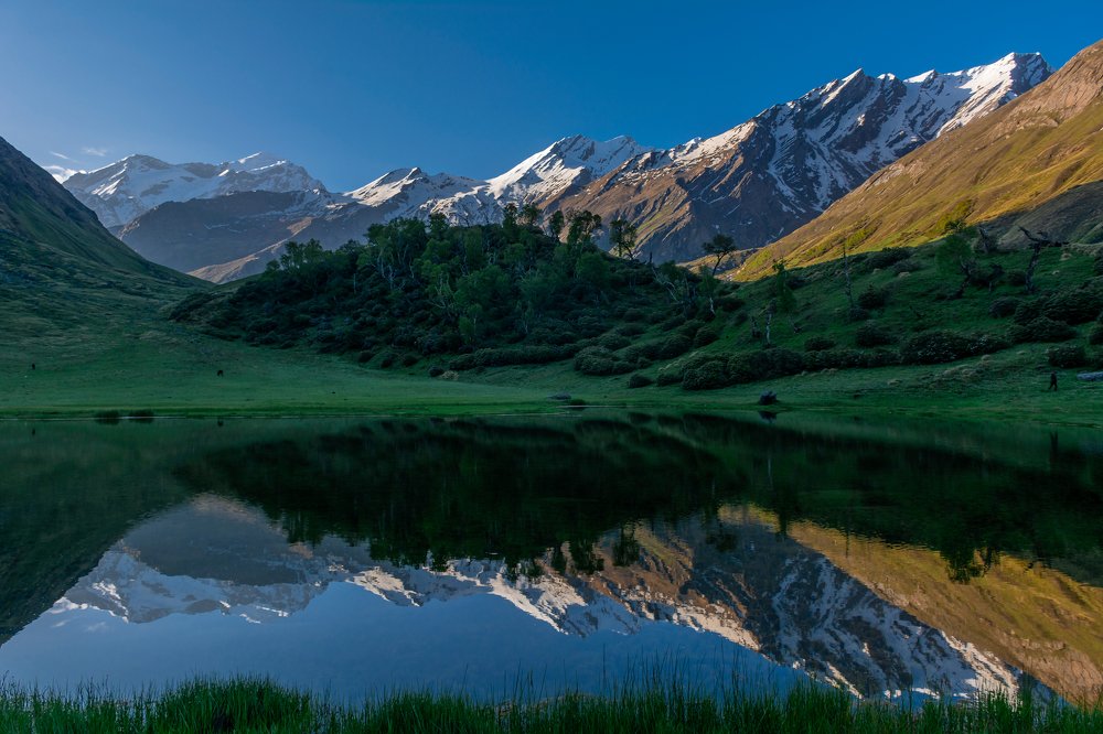 The Natural Reflection