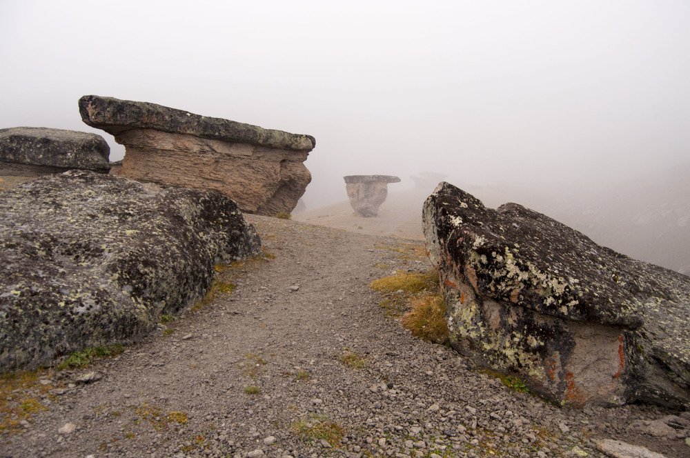 Photograph by Анастасия Езепчук
