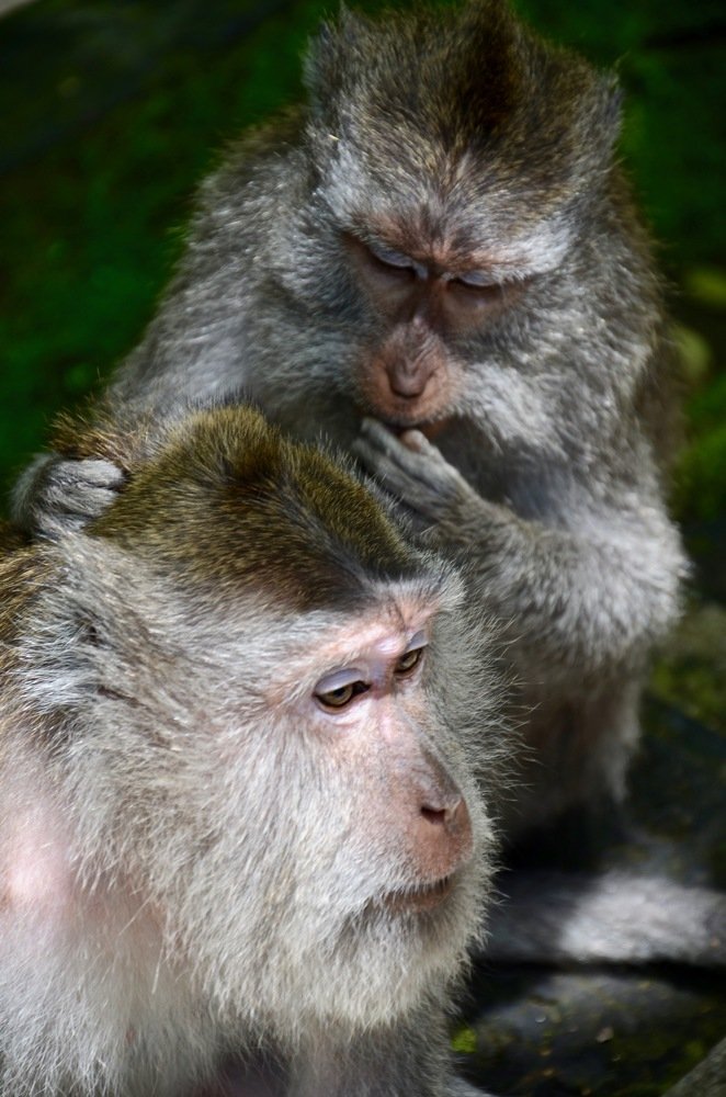 Photograph by Yng-Jaw Jiing