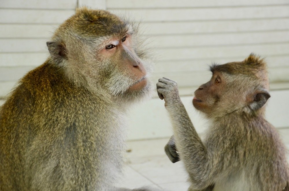 Photograph by Yng-Jaw Jiing