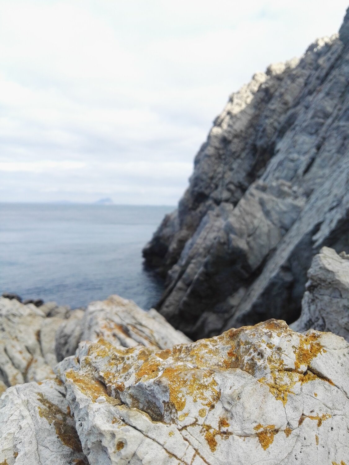 Photo #4094414