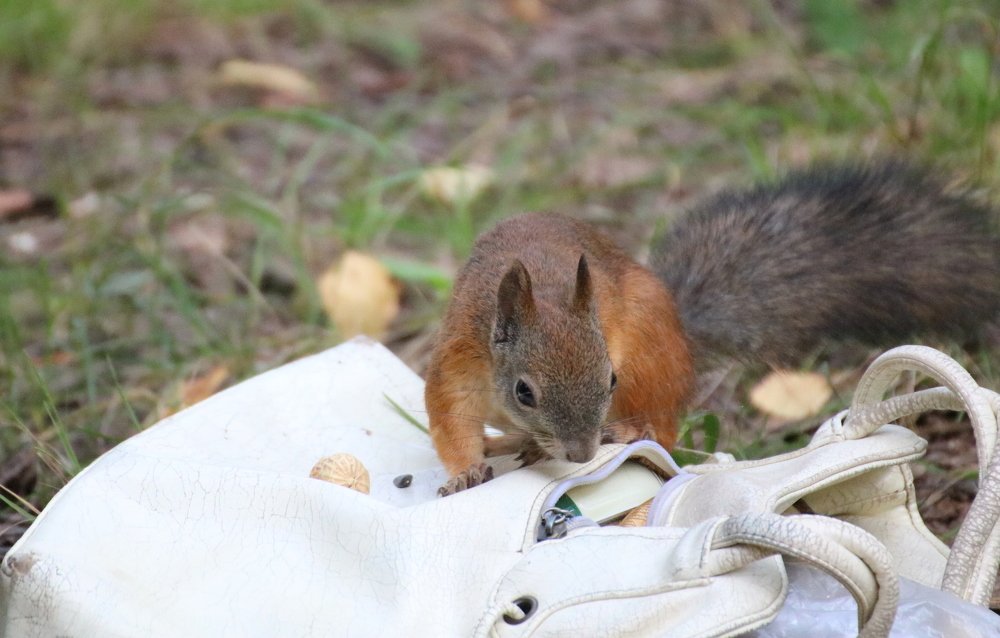 Photograph by Евгения Малафеева