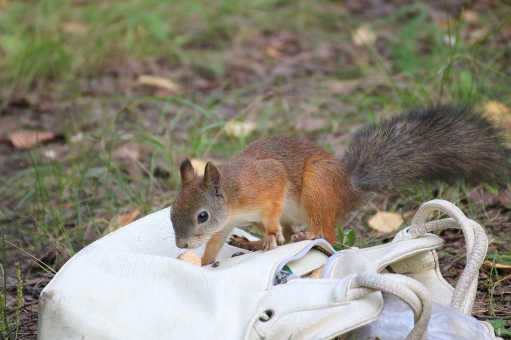 Photograph by Евгения Малафеева