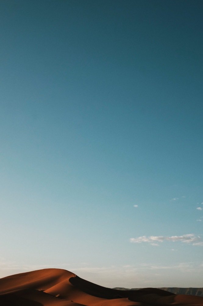 Photograph by Ellie Chung