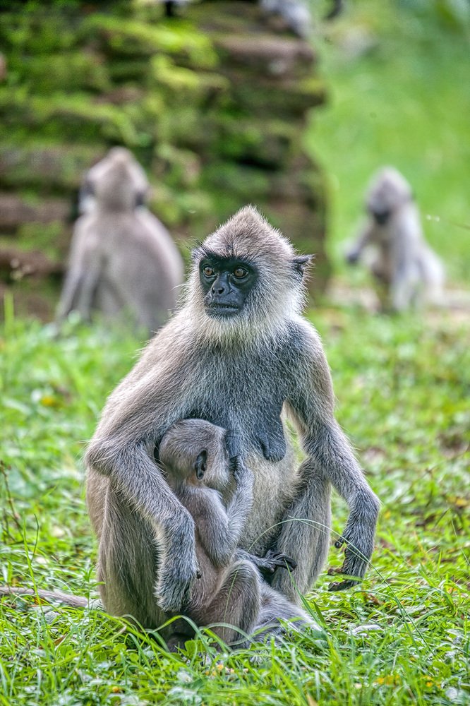 Photograph by Сергей Милицкий