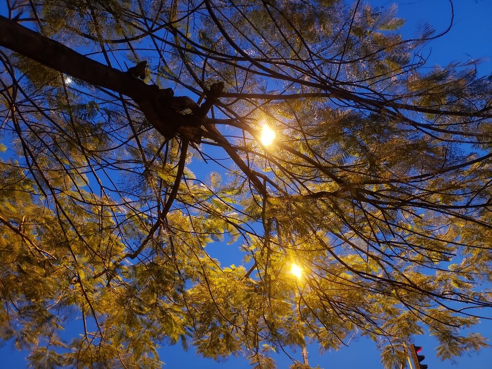 Nature