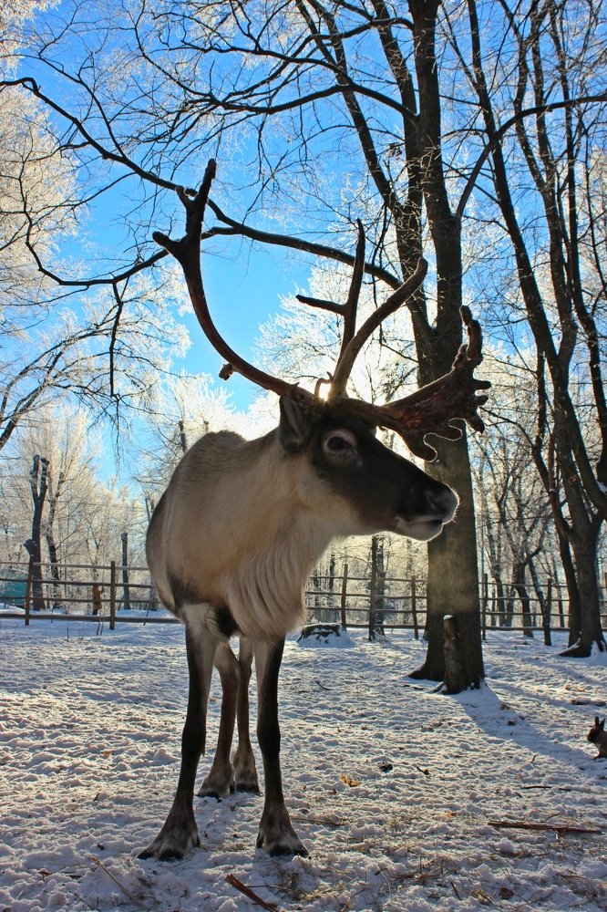 Photograph by Natalia Nevzorova