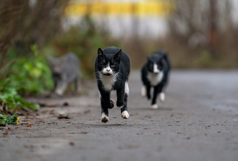 Photograph by Константин Дэм